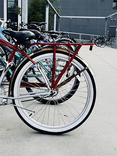 Tailor your college admissions experience with Modern College Counseling